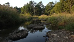 entdecken sie, warum induktionskochfelder bald der vergangenheit angehören und welche innovative küchentechnologie die art des kochens revolutioniert.